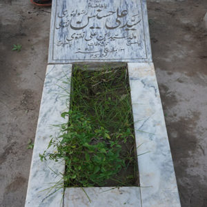 Syed Ali Hasnain Naqvi