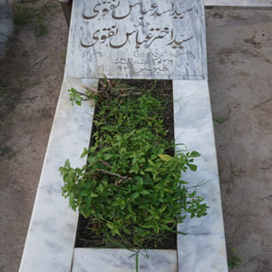 Syed Asad Abbas Naqvi