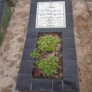 Syeda Rubab Fatima Zaidi