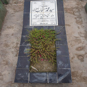 Syed Muhammed Mustejab Jafri