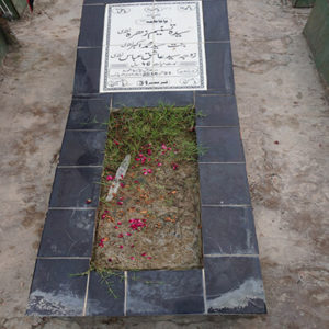Syeda Tasneem Zehra Naqvi