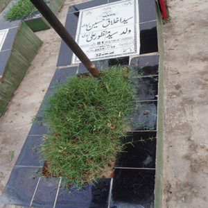 Syed Akhlaq Hussain Zaidi