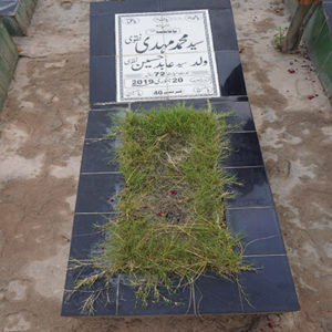 Syed Muhammed Mehdi Naqvi