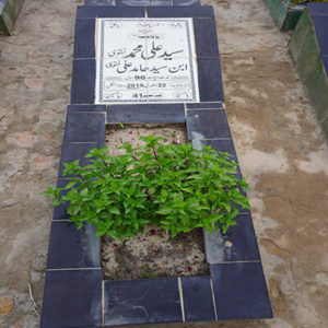 Syed Ali Muhammad Naqvi