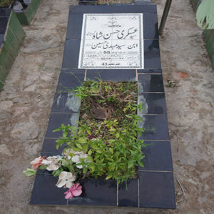 Syed Askari Hassan Shah Gardezi