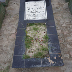 Syed Nonehal Mehdi Zaidi