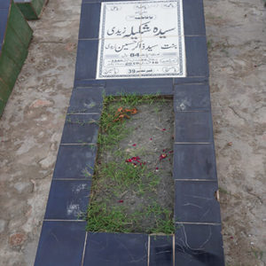 Syeda Shakeela Zaidi