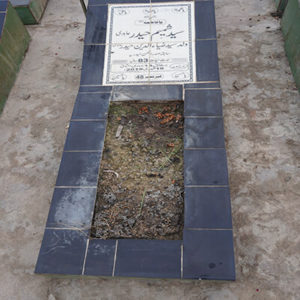 Syed Shahmim Haider Abidi