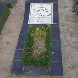 Syed Saleem Hasnain Naqvi