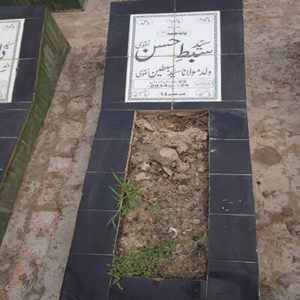 Syed Sibte Hassan Naqvi