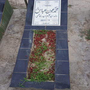 Syed Muhammed Auon Abbas Kazmi