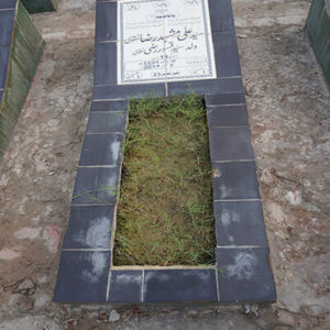 Syed Mashid Raza Naqvi