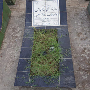 Haji Malik Mujhaid Abbas