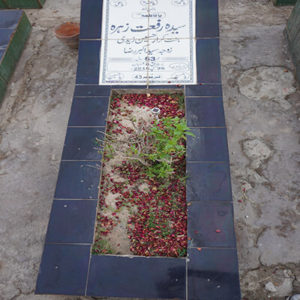 Syeda Riffat Zehra