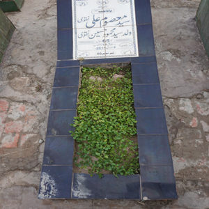 Syed Masoom Ali Naqvi