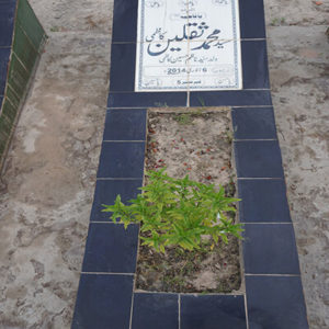 Syed Muhammed Saqlain Kazmi