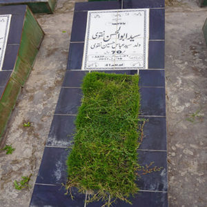 Syed Abul Hassan Naqvi