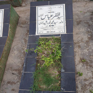 Syed Zafar Abbas Naqvi