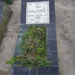 Syed Faheem Abbas Abidi