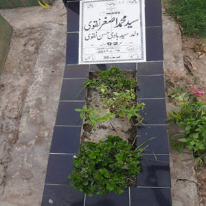 Syed Muhammed Asghar Naqvi