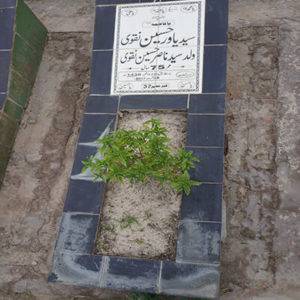 Syed Yawar Hussain Naqvi