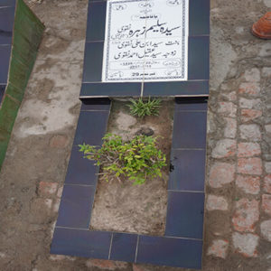 Syeda Saleem Zehra Naqvi