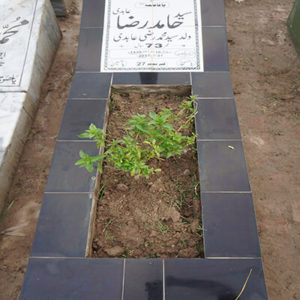 Syed Hamid Raza Abidi