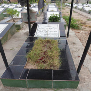 Syed Naseem Abbas Zaidi