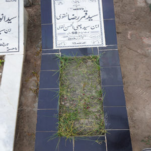 Syed Qamar Raza Naqvi