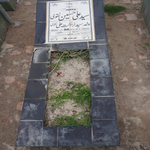 Syed Ali Hussain Naqvi