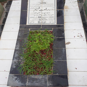 Syeda Riffat Shahmim Naqvi