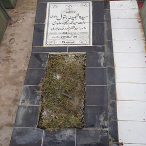 Syeda Tehmina Batool Abidi