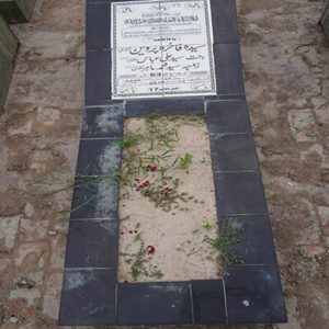 Syeda Fakhra Parveen Naqvi