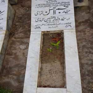 Syed Najamul Hassan Termazi