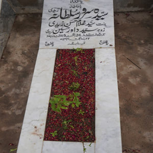 Syeda Sarwar Sultana