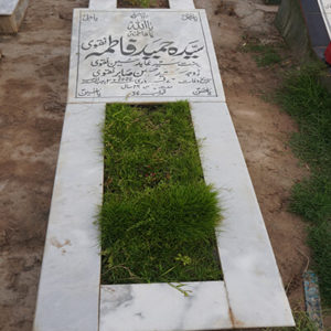 Syeda Hameeda Fatima Naqvi