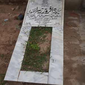 Syeda Afroz Zehra Naqvi