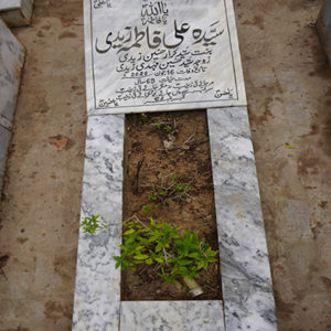 Syeda Ali  Fatima Zaidi