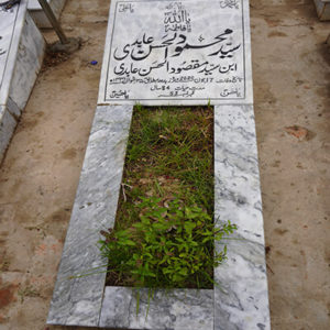 Syed Mehmood-Ul-Hassan Abidi