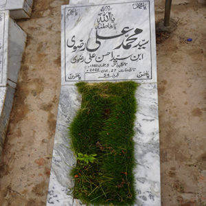 Syed Muhammed Ali Rizvi