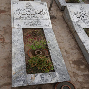 Syed Afzal Hussain Abidi