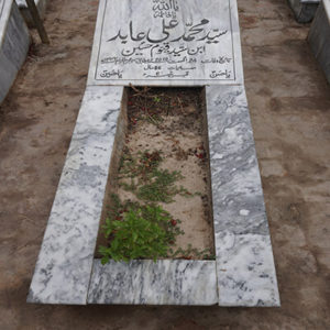 Syed Muhammed Ali Abidi