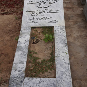 Syed Ali Jafar Zaidi