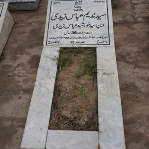 Syed Nadeem Abbas Zaidi