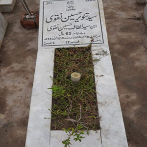 Syed Tanveer Hussain Naqvi
