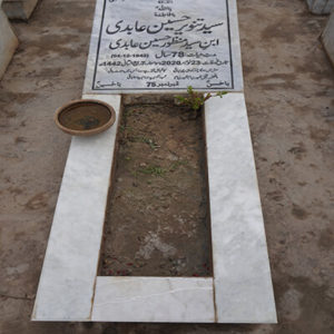 Syed Tanveer Hussain Abidi