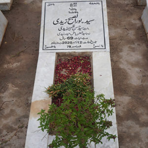 Syeda Noor-ul-Subh Zaidi