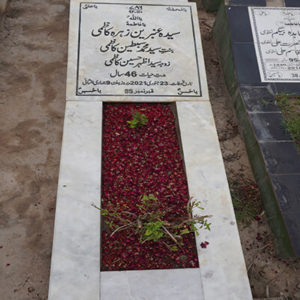 Syeda Ambreen Zehra Kazmi
