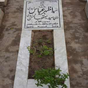 Syed Azher Abbas Zaidi