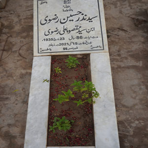 Syed Nazar Hussain Rizvi